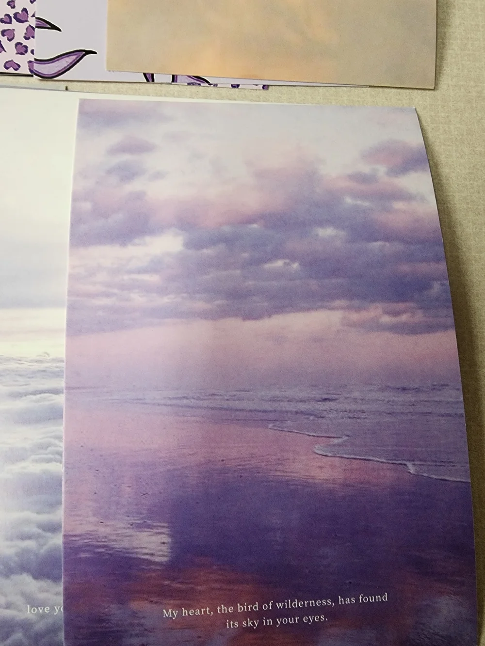 31 Post Cards 4x6